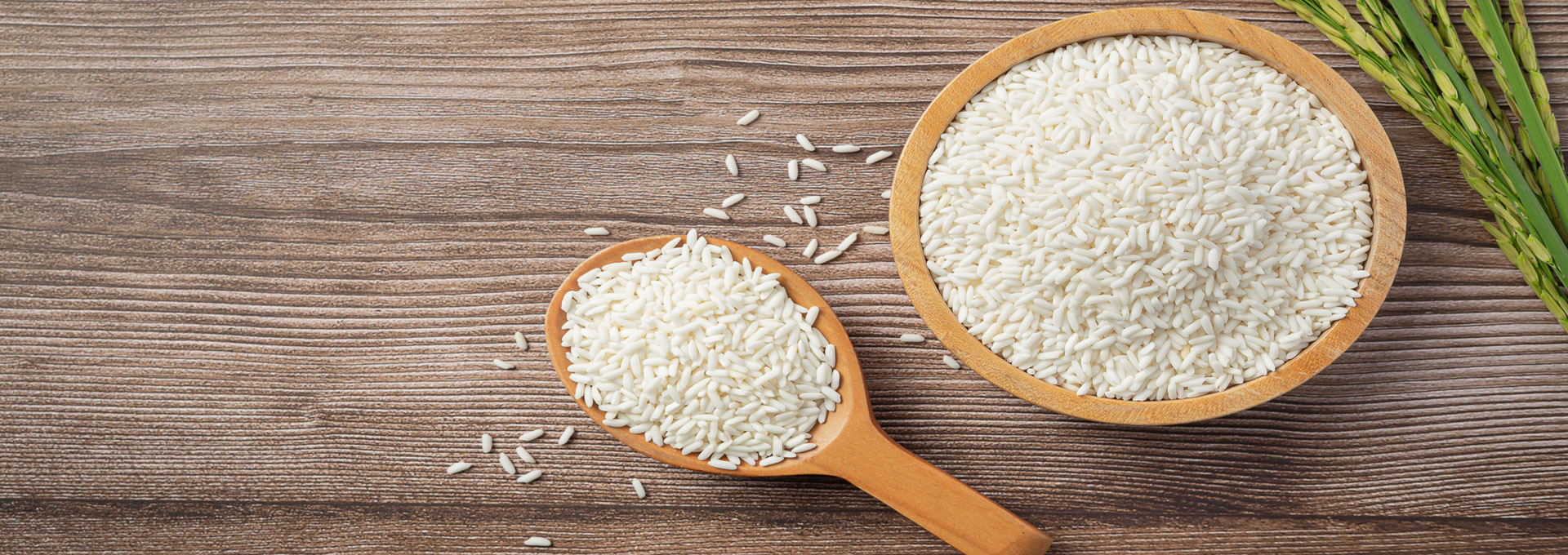 Tavishi General And Petro Trading